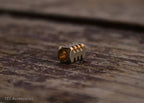 TEC Accessories S1 Lanyard Bead - VÄLJ MATERIAL