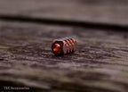 TEC Accessories S1 Lanyard Bead - VÄLJ MATERIAL