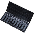 NexTool Multi Tool Bit Kit - 10 Stycken Dubbelsidiga Bits Till Multitools Med Förvaringsbox