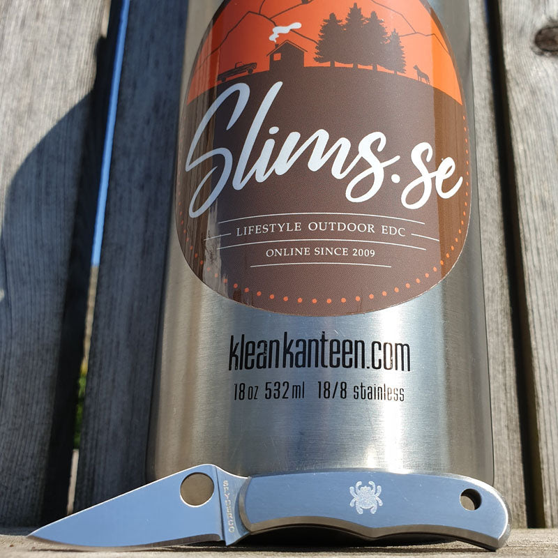 Spyderco Bug Stainless Steel