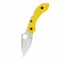 Spyderco Dragonfly 2 Salt PlainEdge H2 FRN